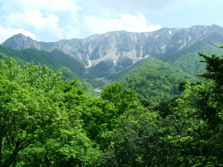 鳥取県大山町 ふるさと納税で体験 豊かな自然と四季の美味しさ ふるさと納税ガイド
