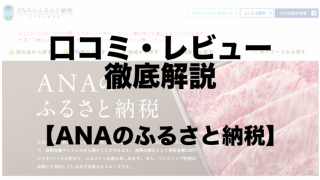 Anaのふるさと納税 を徹底解説 使い方や特徴メリットデメリットを総まとめ ふるさと納税ガイド