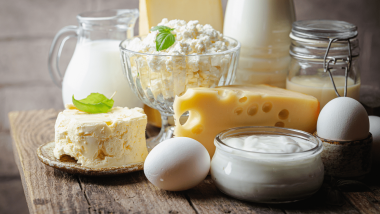 ふるさと納税「チーズ・バター」おすすめランキング｜人気のよつ葉も | ふるさと納税ガイド