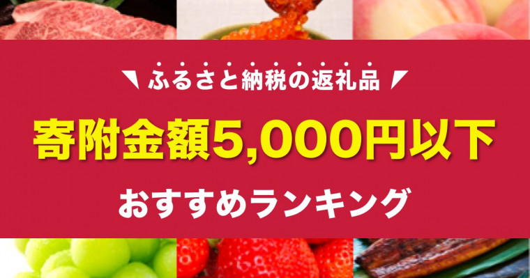 楽天の買いまわりにもピッタリな 5 000円以下 のふるさと納税おすすめ返礼品ランキング お試し泉州タオルも登場 ふるさと納税ガイド