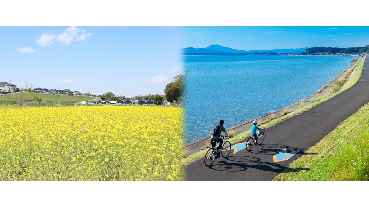 【茨城県小美玉市】ふるさと納税で人気！干し芋やヨーグルト、卵などの特産品 ふるさと納税ガイド